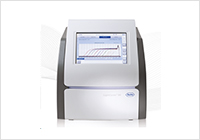 Real Time PCR System