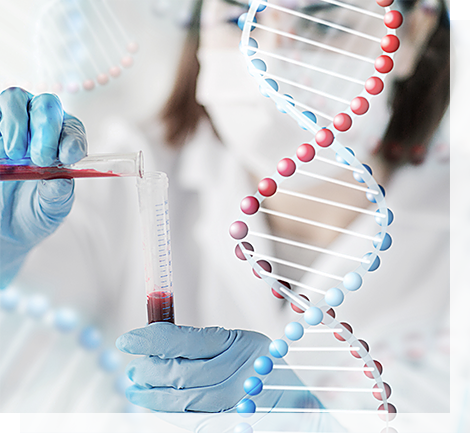 About the Research Team