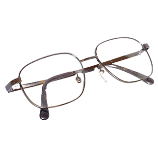 Low Vision Assistive Glasses