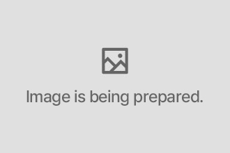 Image is being prepared.