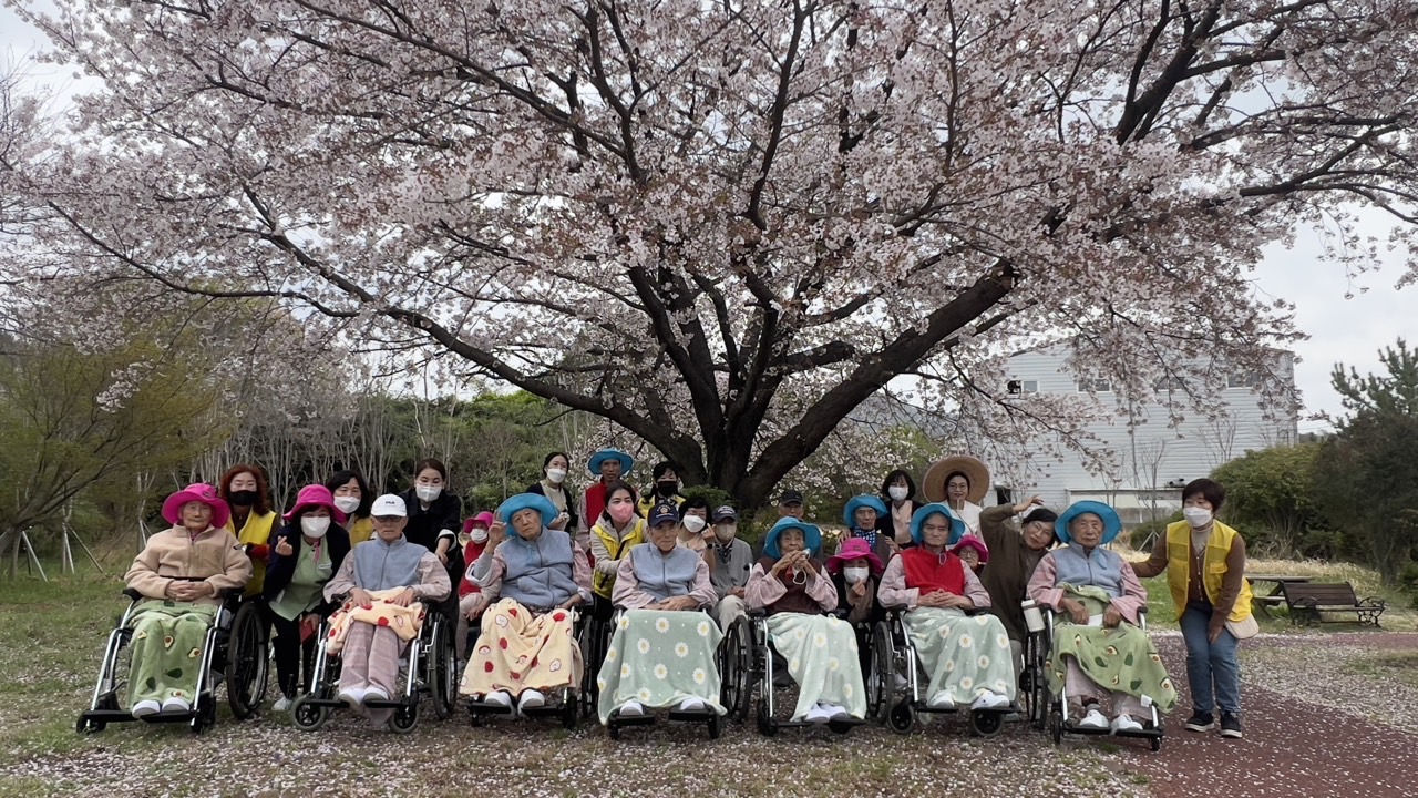 26년 산책
