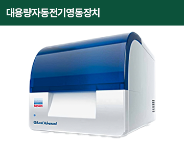 대용량자동전기영동장치