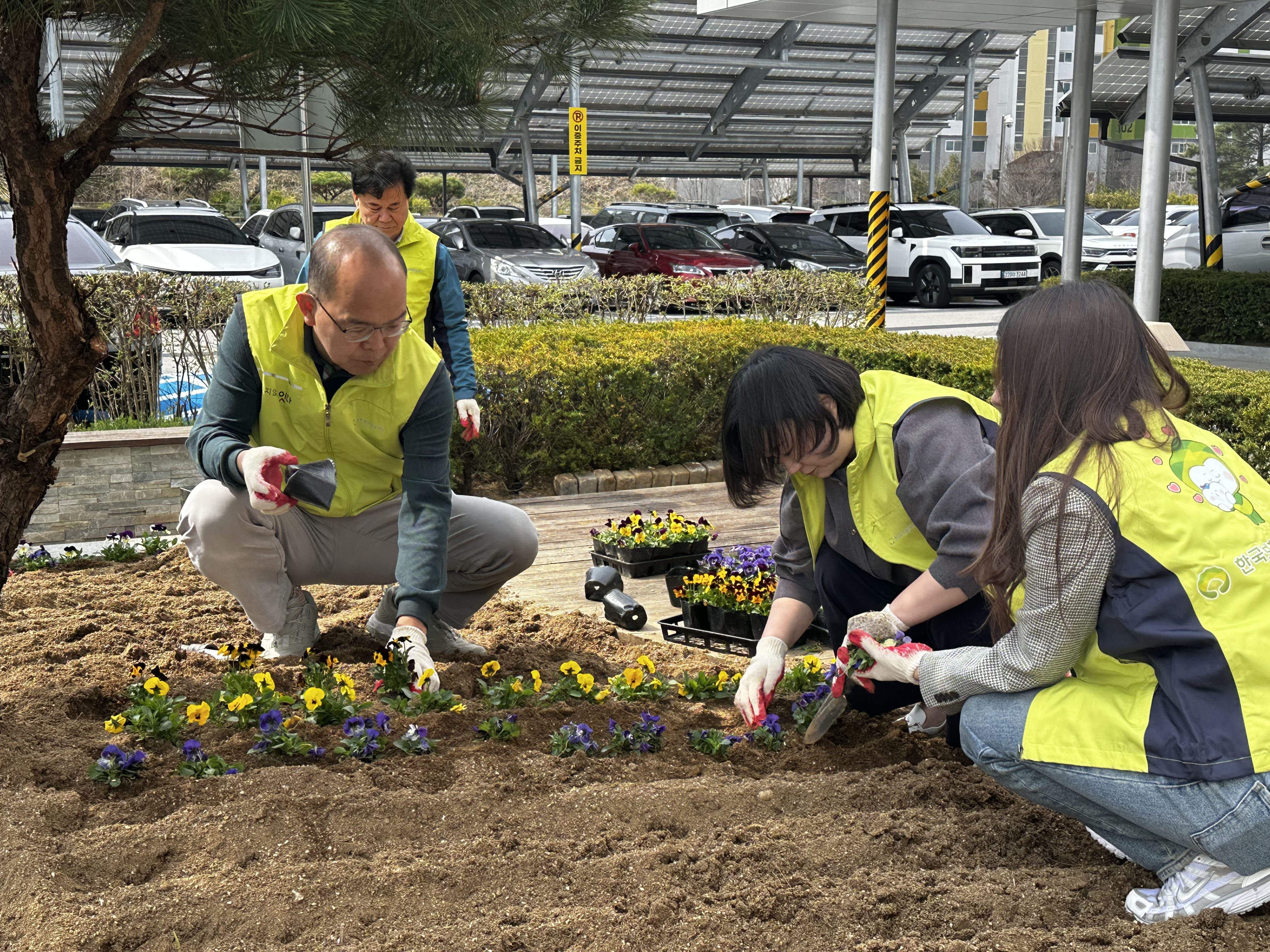 식목일을 앞둔 4월 3일(금), 한국보훈복지의료공단 윤종진 이사장과 직원들이 화단에 꽃을 심고 있다.