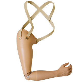 Above Elbow Prosthesis Cosmetic Type