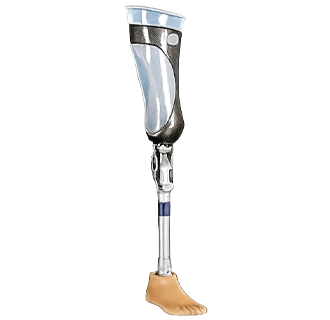 무릎관절의지 이미지