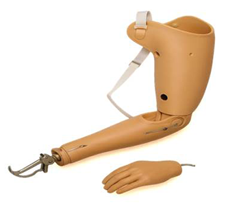 Above Elbow Prosthesis Functional Type