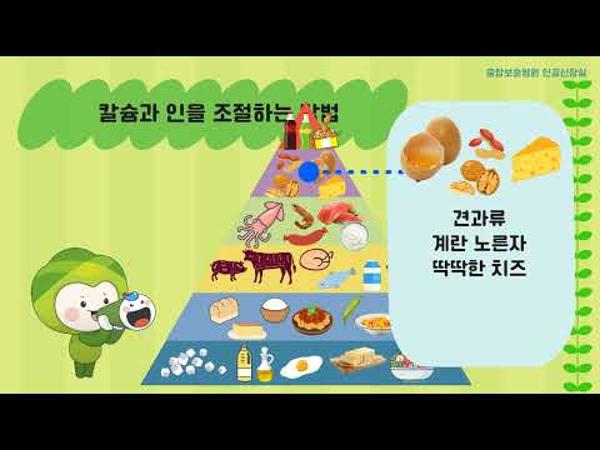 투석환자의 칼슘·인 조절 영상