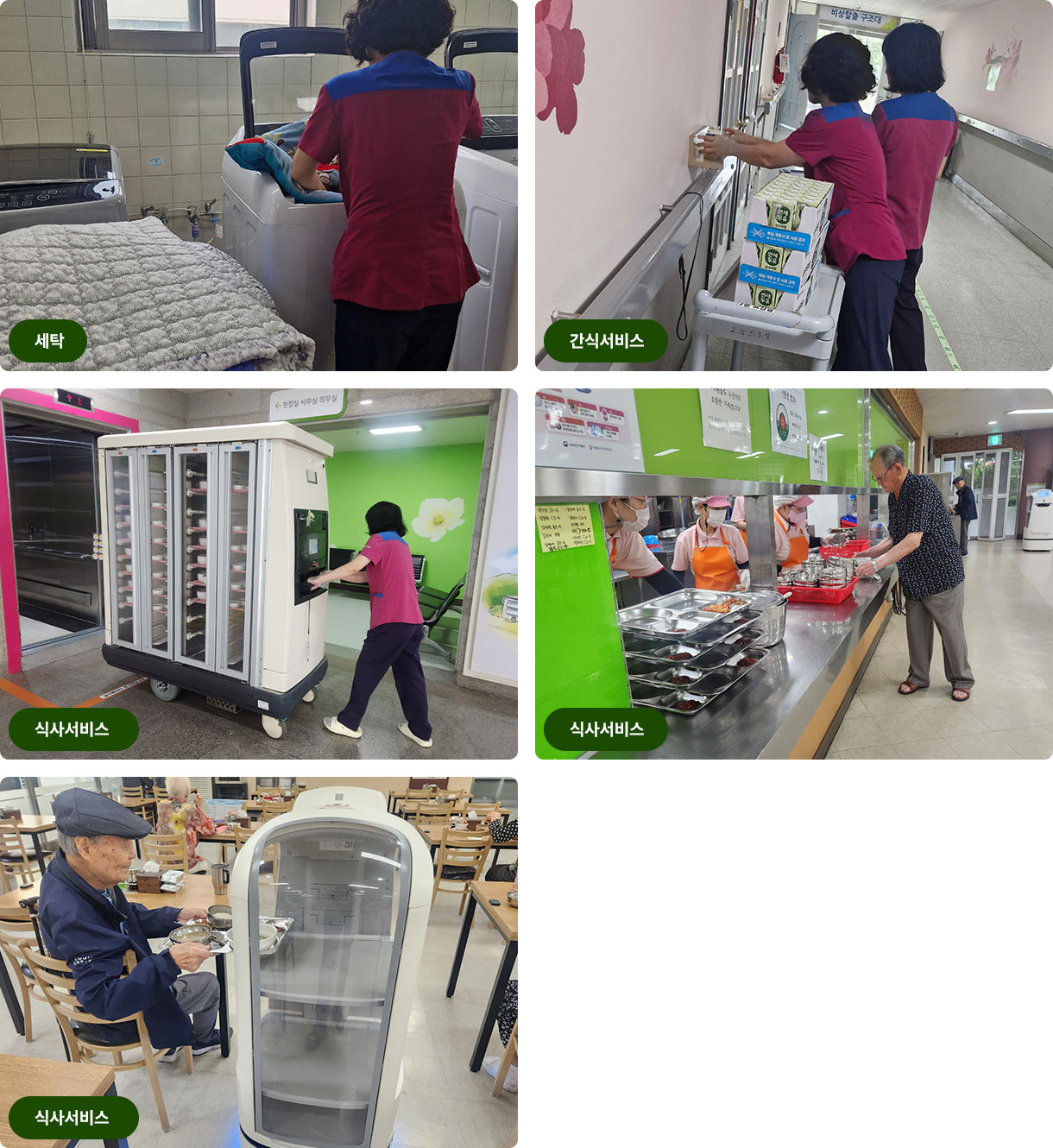 일상생활서비스