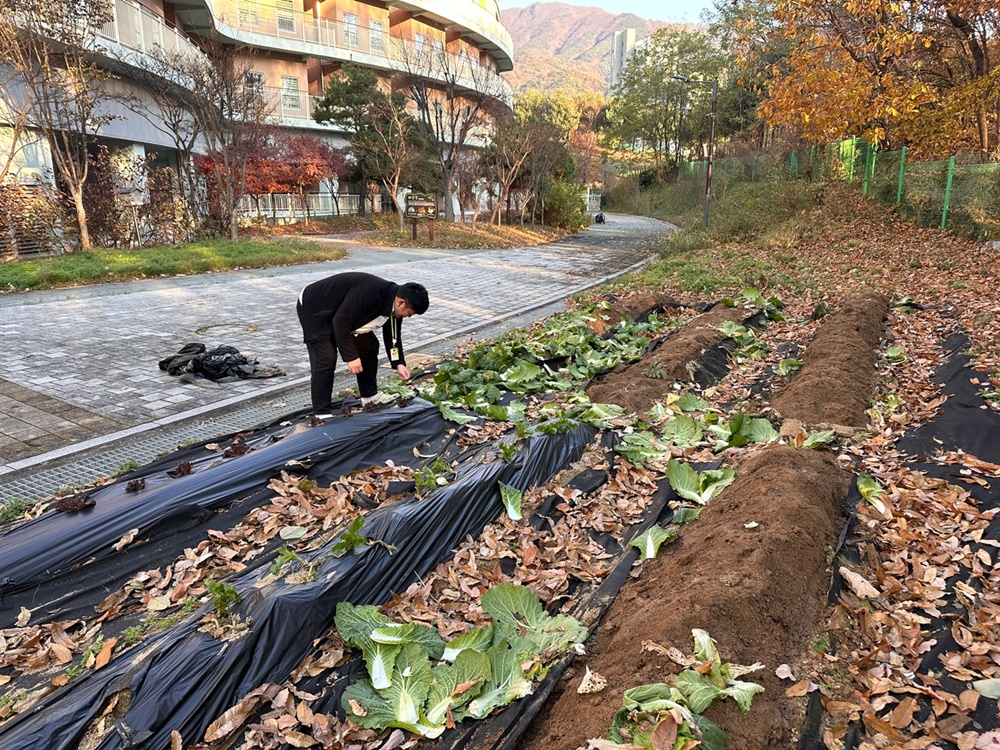 요리교실_배추겉절이2